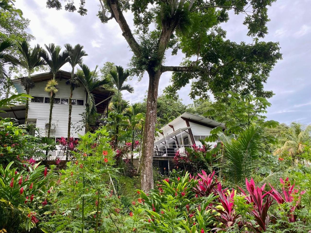 Ballena Dorada Lodge Uvita Exteriér fotografie