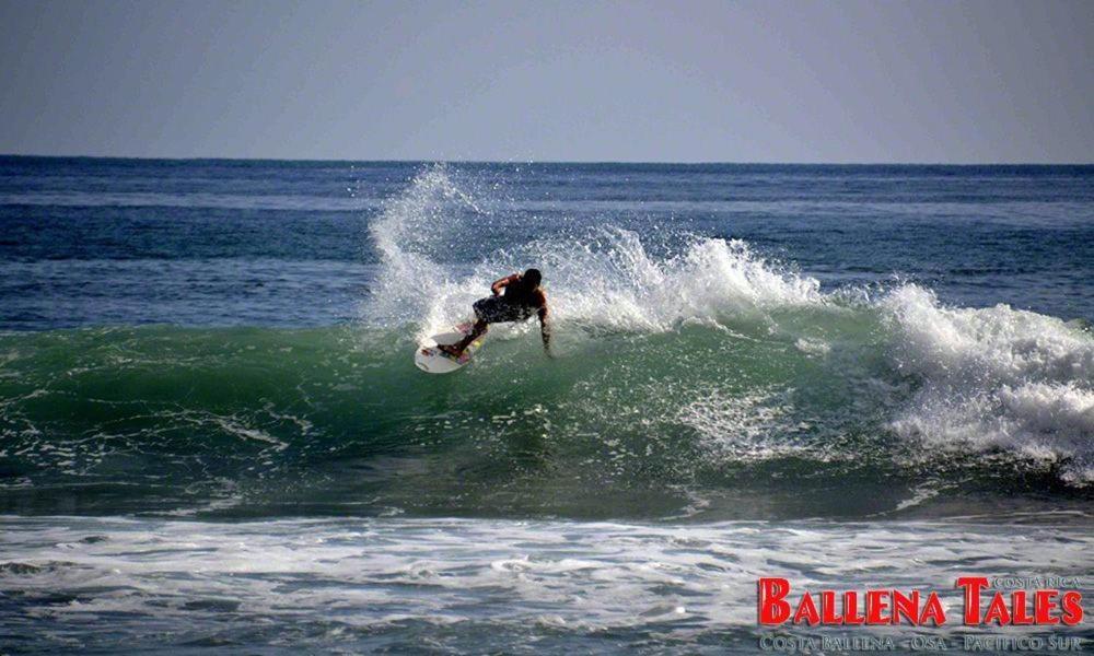Ballena Dorada Lodge Uvita Exteriér fotografie