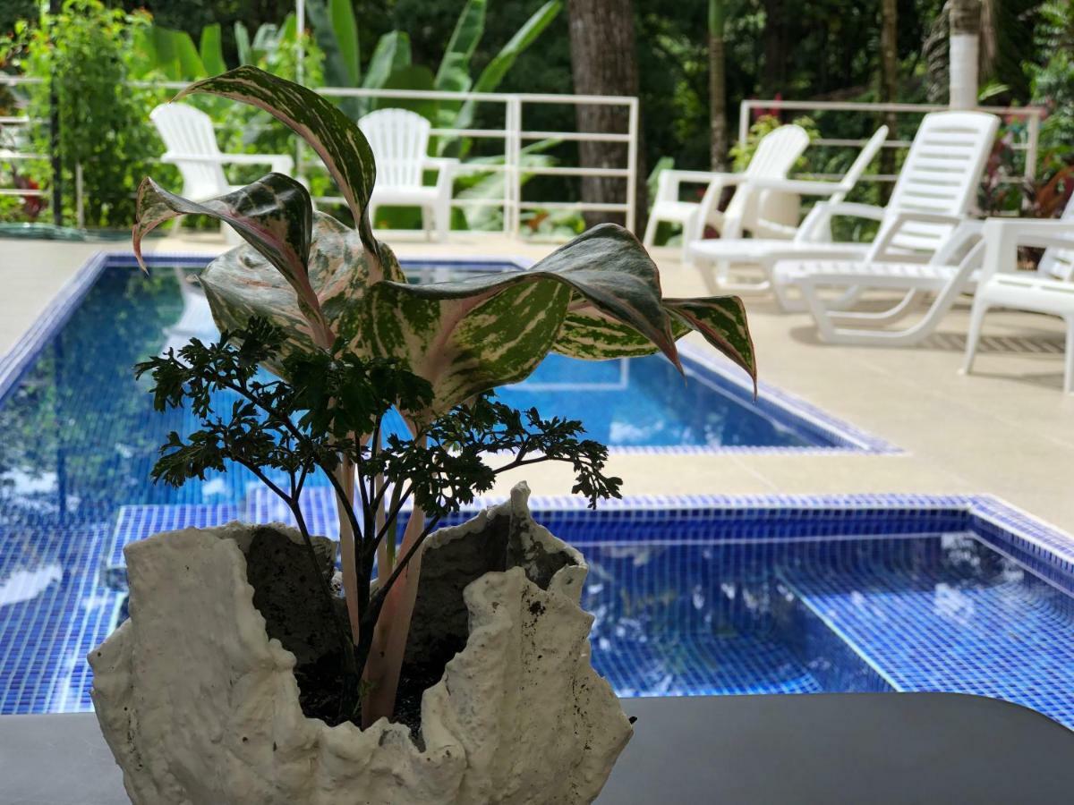 Ballena Dorada Lodge Uvita Exteriér fotografie